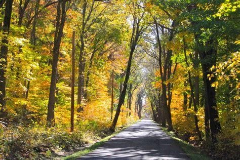 Autumn trails - Welcome to Autumn Trails Apartments . View our 2 Bedroom Apartments located in Indianapolis, IN Visit us today! Javascript has been disabled on your browser, so some functionality on the site may be disabled.